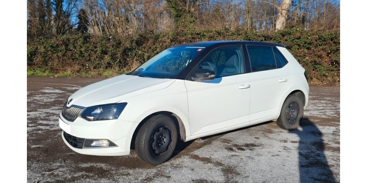 Skoda Fabia 142.000 km 7.700 &euro; Leipzig 04179