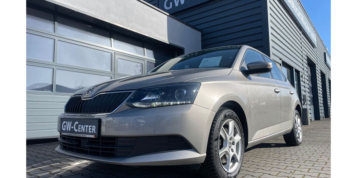Skoda Fabia 64.000 km 12.790 &euro; Leipzig 04129