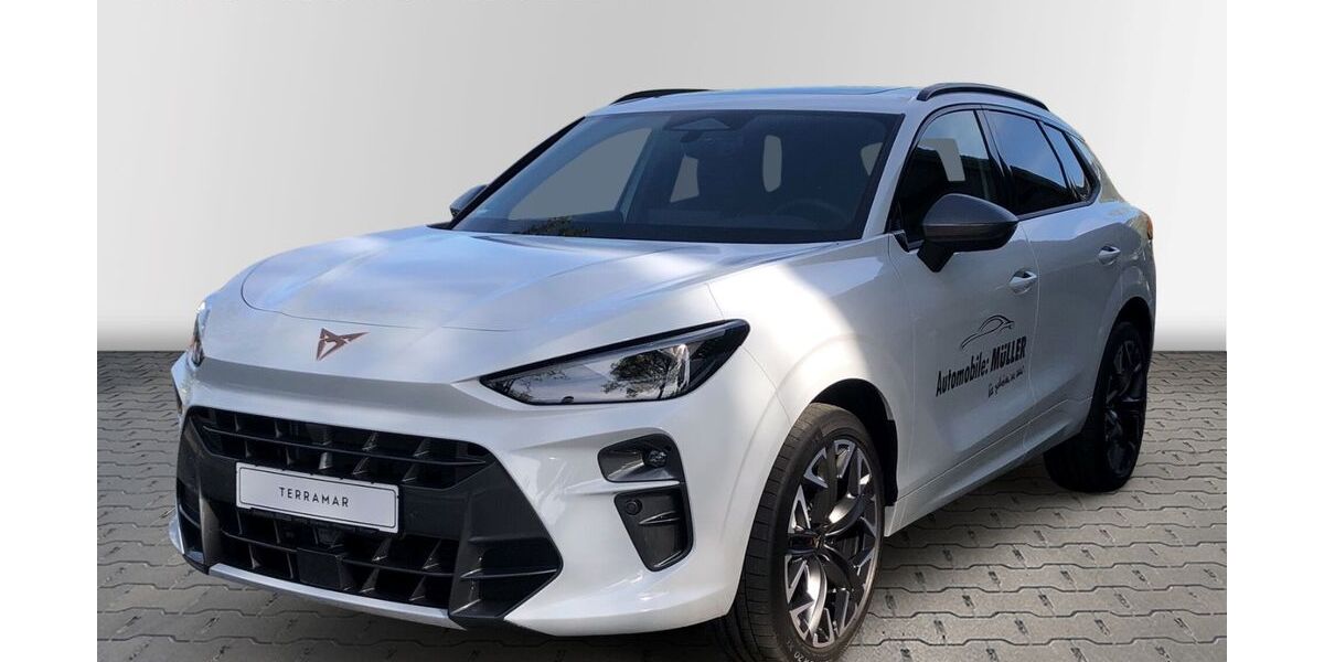 Cupra Terramar 10.218 km 46.490 &euro; Leipzig 04328