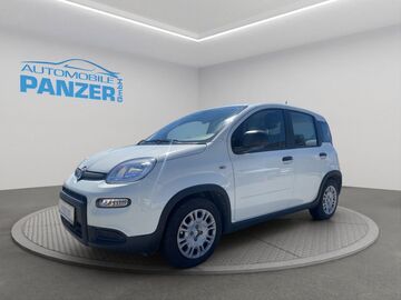 Gebrauchte Fiat Panda