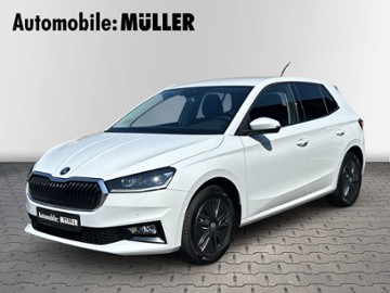 Gebrauchte Skoda Fabia