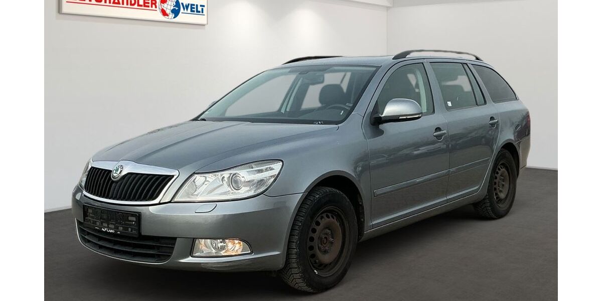 Skoda Octavia 171.424 km 5.999 &euro; Brehna 06796