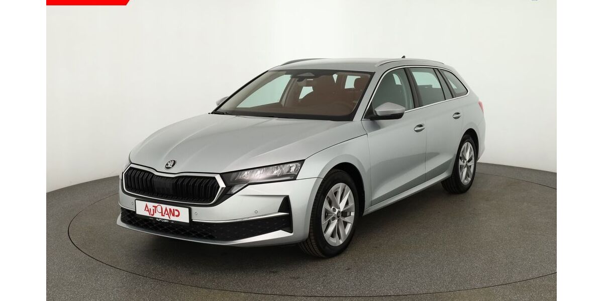 Skoda Octavia 2.842 km 31.890 &euro; Brehna 06796