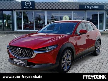 Gebrauchte Mazda CX-30