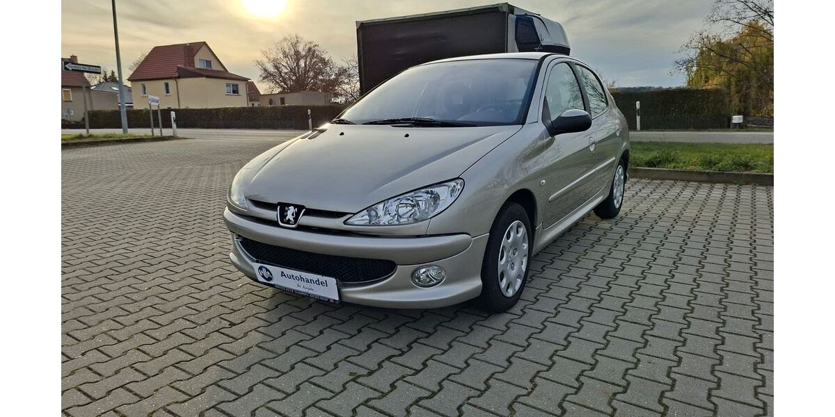 Peugeot 206 123.206 km 3.999 &euro; Borna 04552