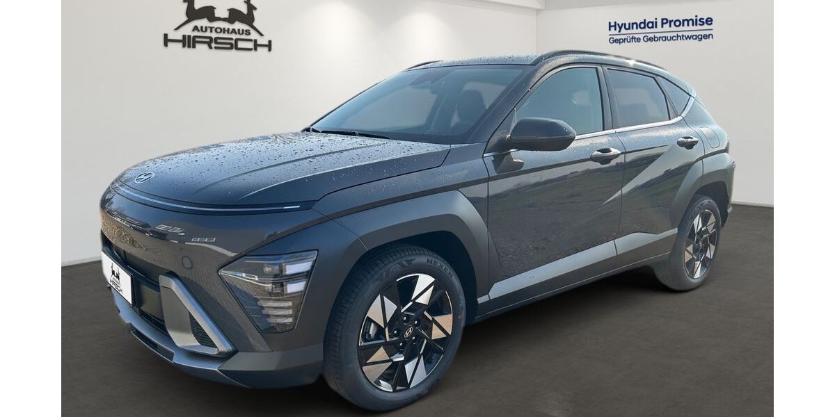 Hyundai KONA 2.500 km 29.990 &euro; Borna 04552