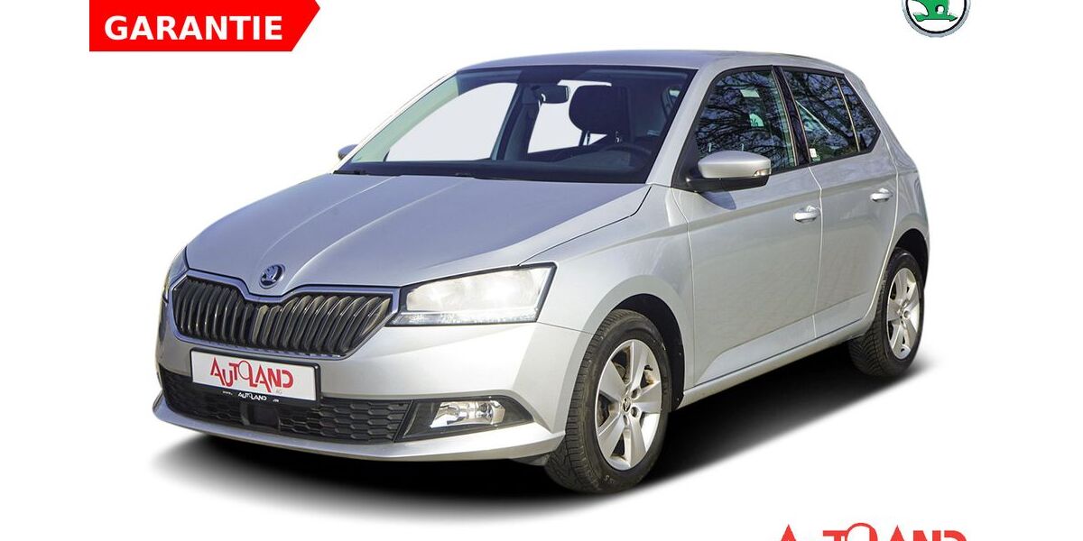 Skoda Fabia 97.900 km 11.990 &euro; Brehna 06796
