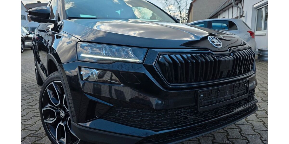 Skoda Karoq 46.600 km 28.799 &euro; Zwenkau 04442