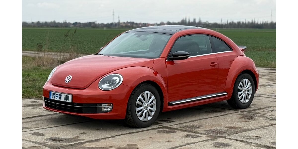 VW Beetle 100.120 km 19.300 &euro; Wiedemar 04509