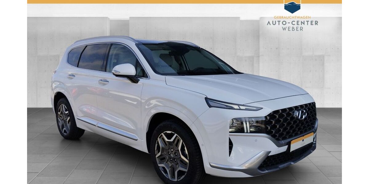 Hyundai SANTA FE 3.600 km 43.480 &euro; Markkleeberg 04416