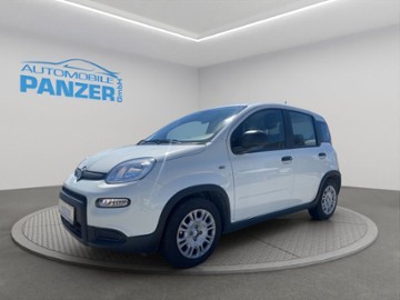 Gebrauchte Fiat Panda
