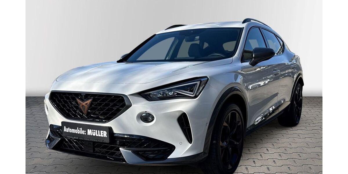 Cupra Formentor 78.058 km 24.849 &euro; Leipzig 04328