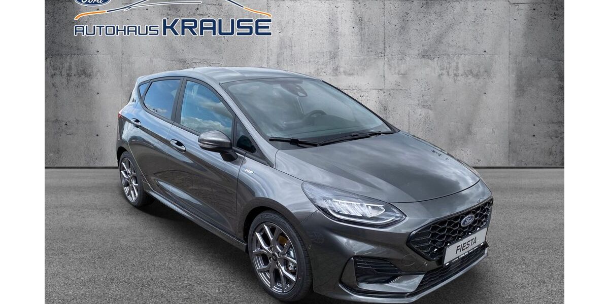 Ford Fiesta 2.000 km 25.490 &euro; Machern 04827